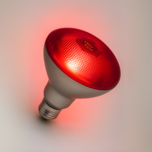 Bombilla de Luz Roja Dremioo®